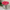 PERFUMED FLOWERS