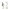 ** NEW ** Cote Noire Summer Magnolia - White & Gold - SMG01