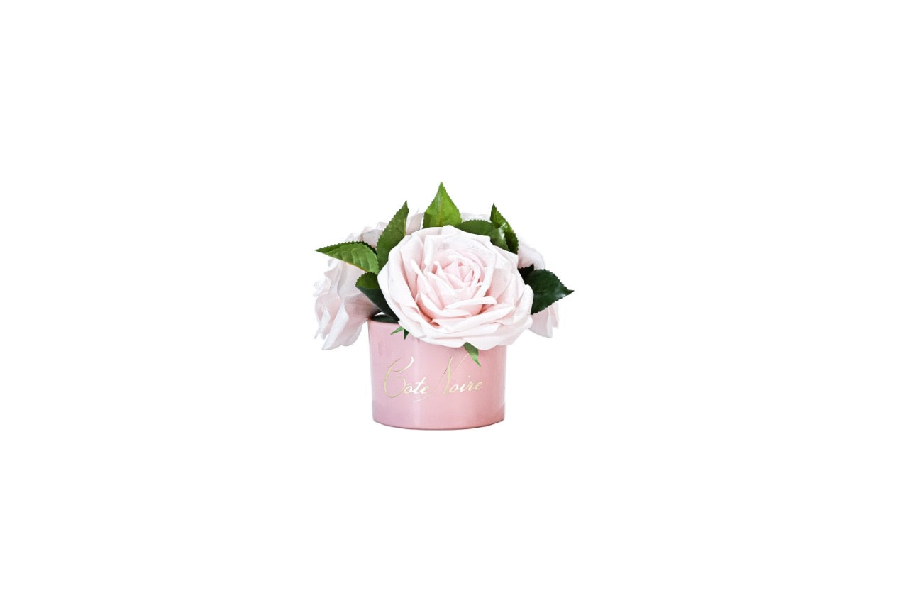 ** CLEARANCE ** Cote Noire Perfumed Natural Touch Tea Roses - French Pink in Pastel Pink Vase - LS43