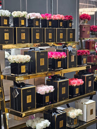 Cote Noire Couture 4 Rose Buds - Square Black Vase Gold & Red - SVB404