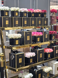 Cote Noire Couture 9 Rose Bud - Square Black Vase Gold & White - SVB901