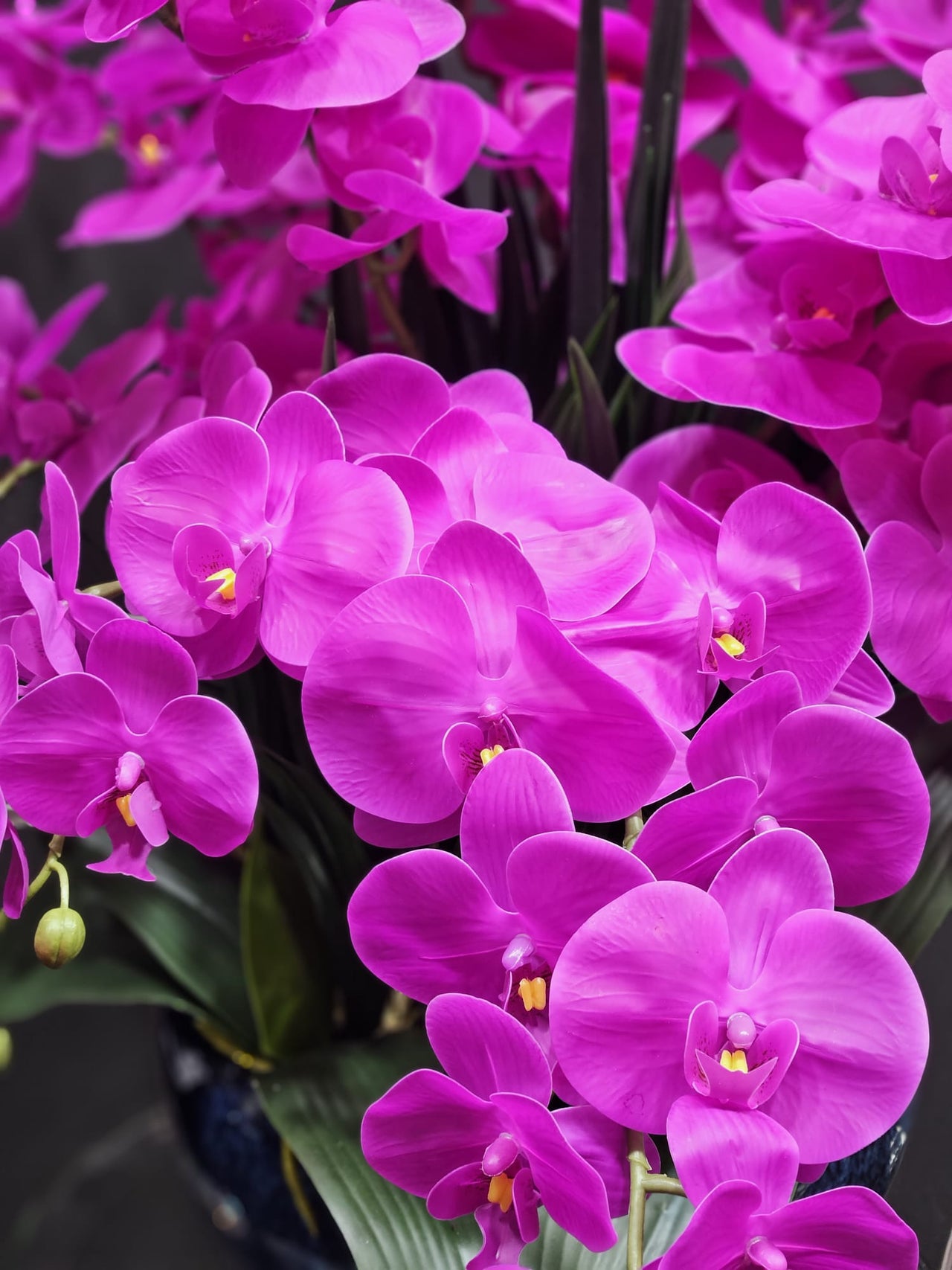 Cote Noire Luxury Centrepiece Orchid Bouquet - Fuchsia & Gold badge - CP009