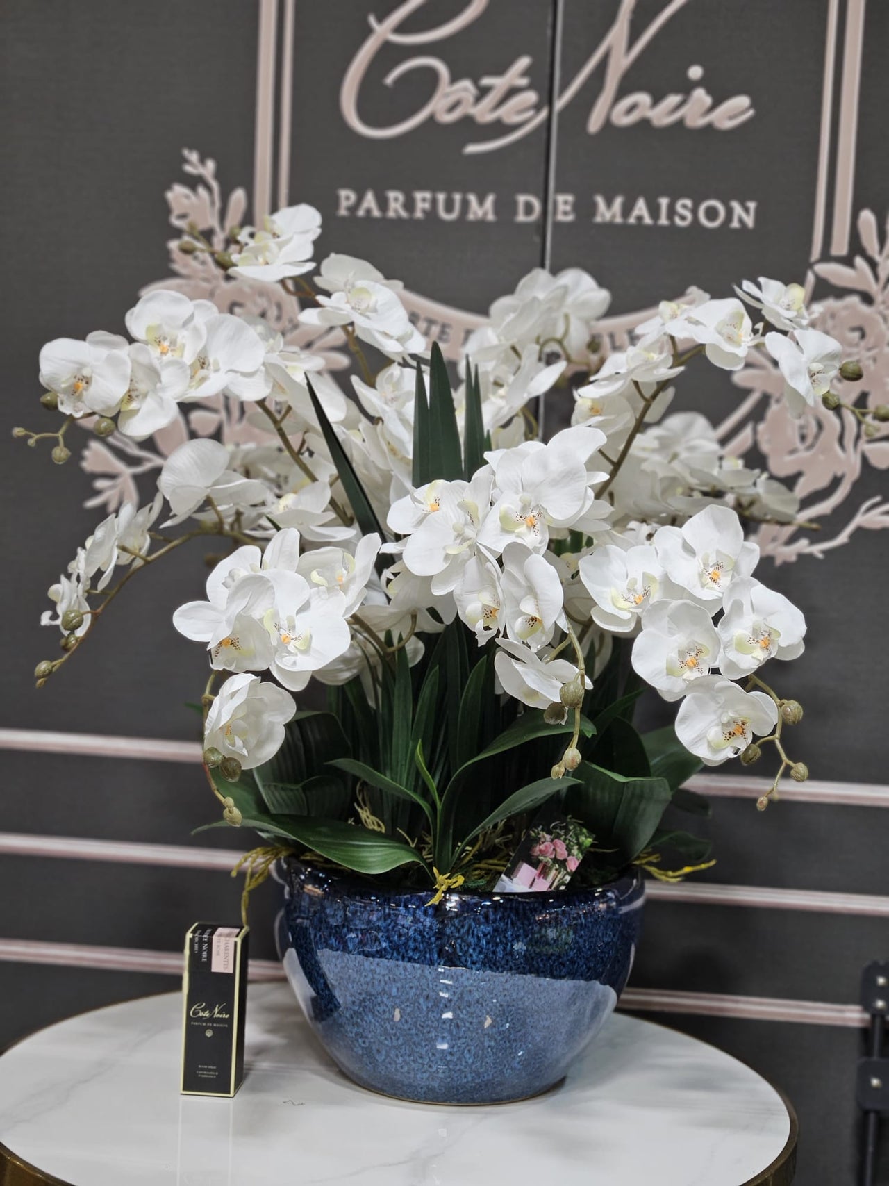 Cote Noire Luxury Giant Orchid Bouquet - White in Ceramic Vase - GO01