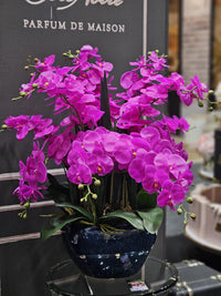 Cote Noire Luxury Giant Orchid Bouquet - Fuchsia in Ceramic Vase - GO09