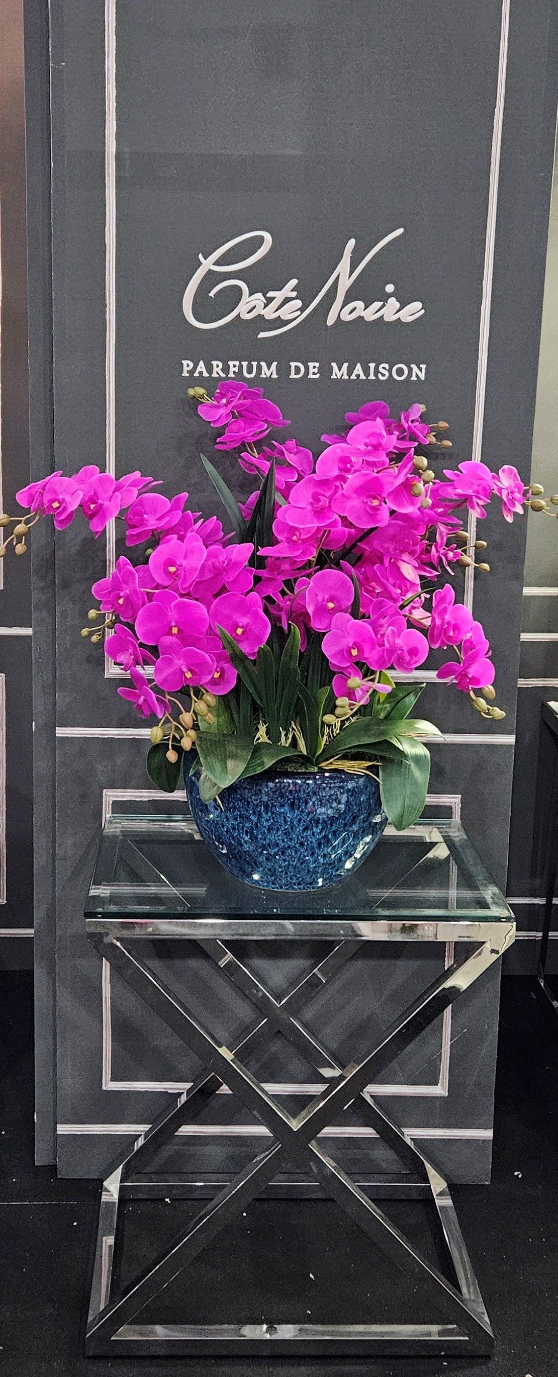 Cote Noire Luxury Giant Orchid Bouquet - Fuchsia in Ceramic Vase - GO09