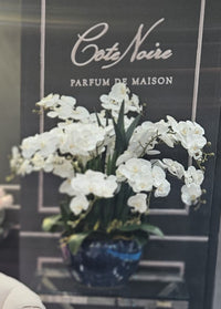 Cote Noire Luxury Giant Orchid Bouquet - White in Ceramic Vase - GO01