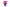 Cote Noire Luxury Giant Orchid Bouquet - Fuchsia in Ceramic Vase - GO09
