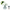 Cote Noire Tea Rose Bouquet Clear Tear Drop Glass - Ivory White - TR01