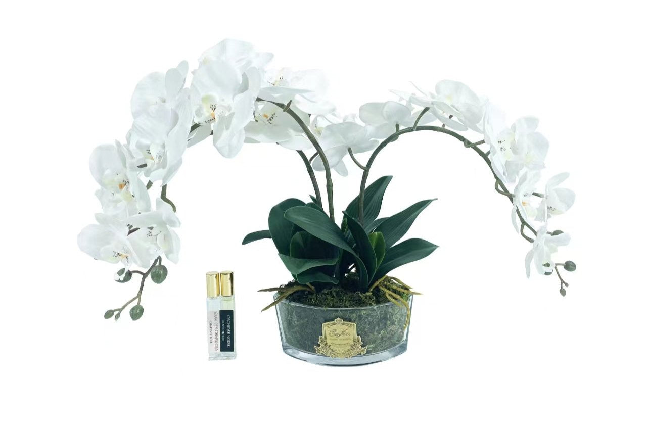 Cote Noire Orchid Bouquet - White & Gold Badge - OOV01