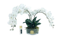 Cote Noire Orchid Bouquet - White & Gold Badge - OOV01