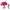 Cote Noire Premium Bouquet - Magenta Rose Buds - Clear - Gold Badge - GRB07