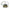 Cote Noire Orchid Bouquet - White & Gold Badge - OOV01
