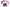 Cote Noire Orchid Bouquet - Fuchsia & Gold Badge - OOV09