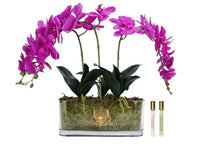Cote Noire Orchid Bouquet - Fuchsia & Gold Badge - OOV09