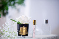 Côte Noire Perfumed Natural Touch Single Rose - Black - Pink Blush - GMRB02