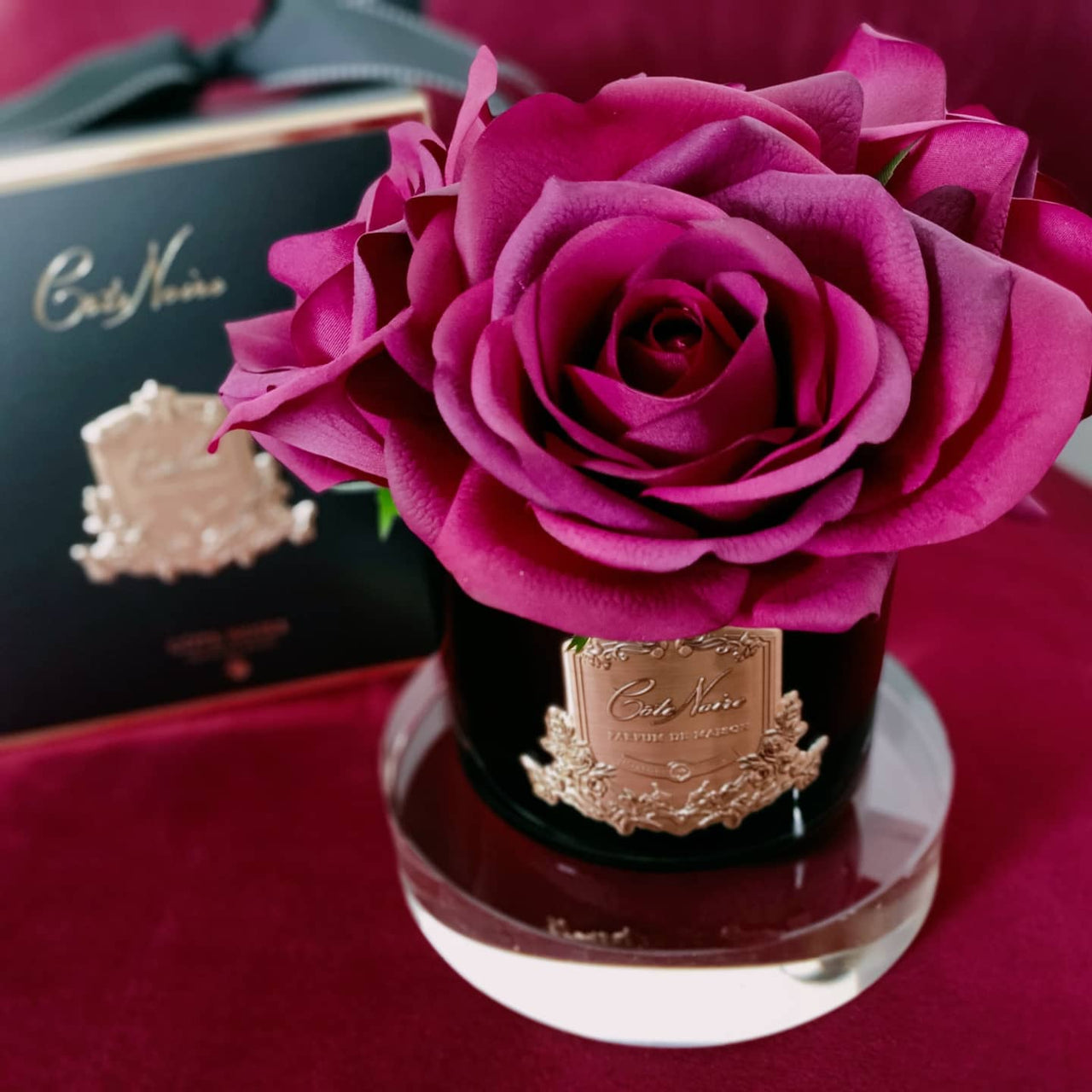 Côte Noire Perfumed Natural Touch 5 Roses - Black - Red - GMRB64