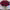 Cote Noire Herringbone Flower - Rose Buds - Clear - Red - HCF24