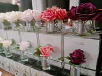 Côte Noire Perfumed Natural Touch 5 Roses - Clear - Red - GMR64