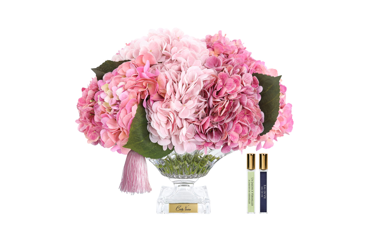 NEW - Cote Noire - Bordeaux Pink Hydrangeas - BCH02