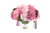 NEW - Cote Noire - Bordeaux Pink Hydrangeas - BCH02