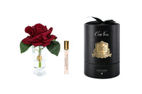 NEW - Cote Noire - Charente Rose in Carmine Red - Gold/Black Box - CHR04