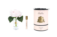 NEW - Cote Noire - Charente Rose in French Pink- Gold/Pink Box - CHR06