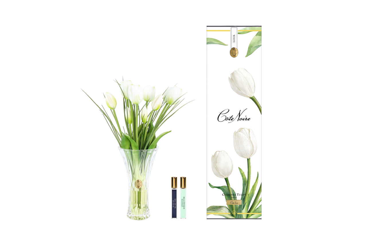 NEW - Cote Noire - Charente Tulips - White CHT01