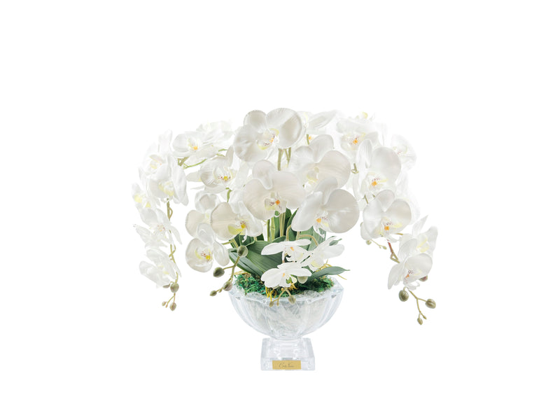 LUXURY CENTREPIECE ORCHID BOUQUET IN WHITE & GOLD BADGE - CPO01