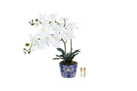 NEW Cote Noire - Double Orchid - Chinoiserie / White - DOC01