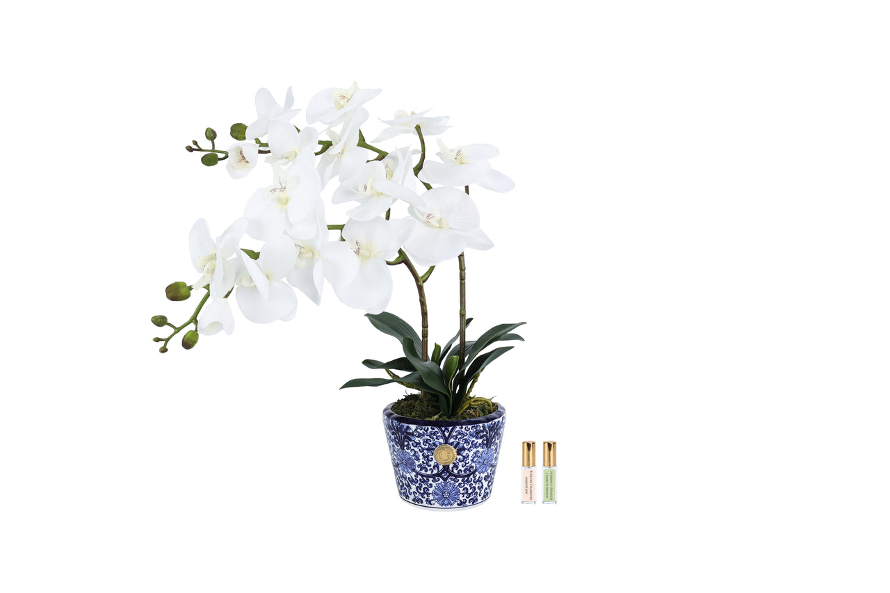 NEW Cote Noire - Double Orchid - Chinoiserie / White - DOC01