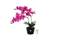 NEW Cote Noire - NEW Double Orchid - Piano black / Fuchsia - DOP09