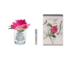 Cote Noire Perfumed Natural Touch Single Rose - Clear - Magenta - GMR07