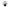 Cote Noire Luxury Giant Orchid Bouquet - White in Black Ceramic Vase - GO01