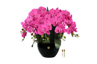 Cote Noire Luxury Giant Orchid Bouquet - Pink in Ceramic Vase - GO09
