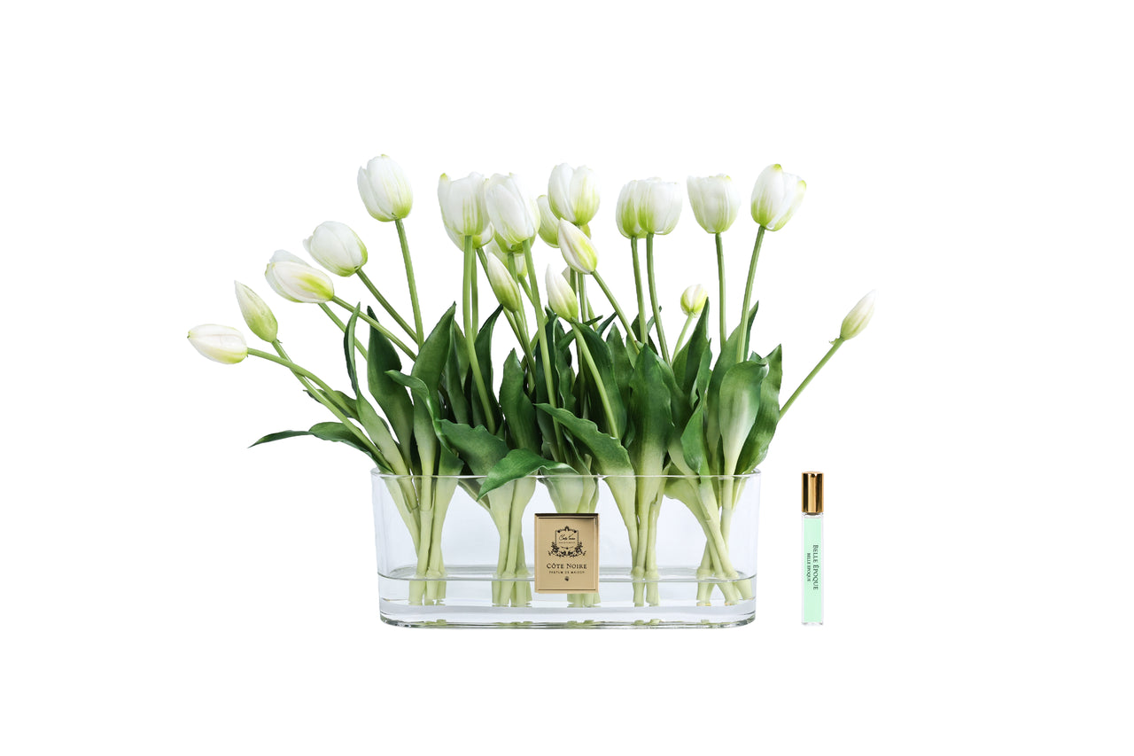 NEW - Cote Noire Oval Tulips - White - OT01