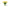Cote Noire Heritage Tulips - Clear Vase with Gold Badge - Yellow - HT04