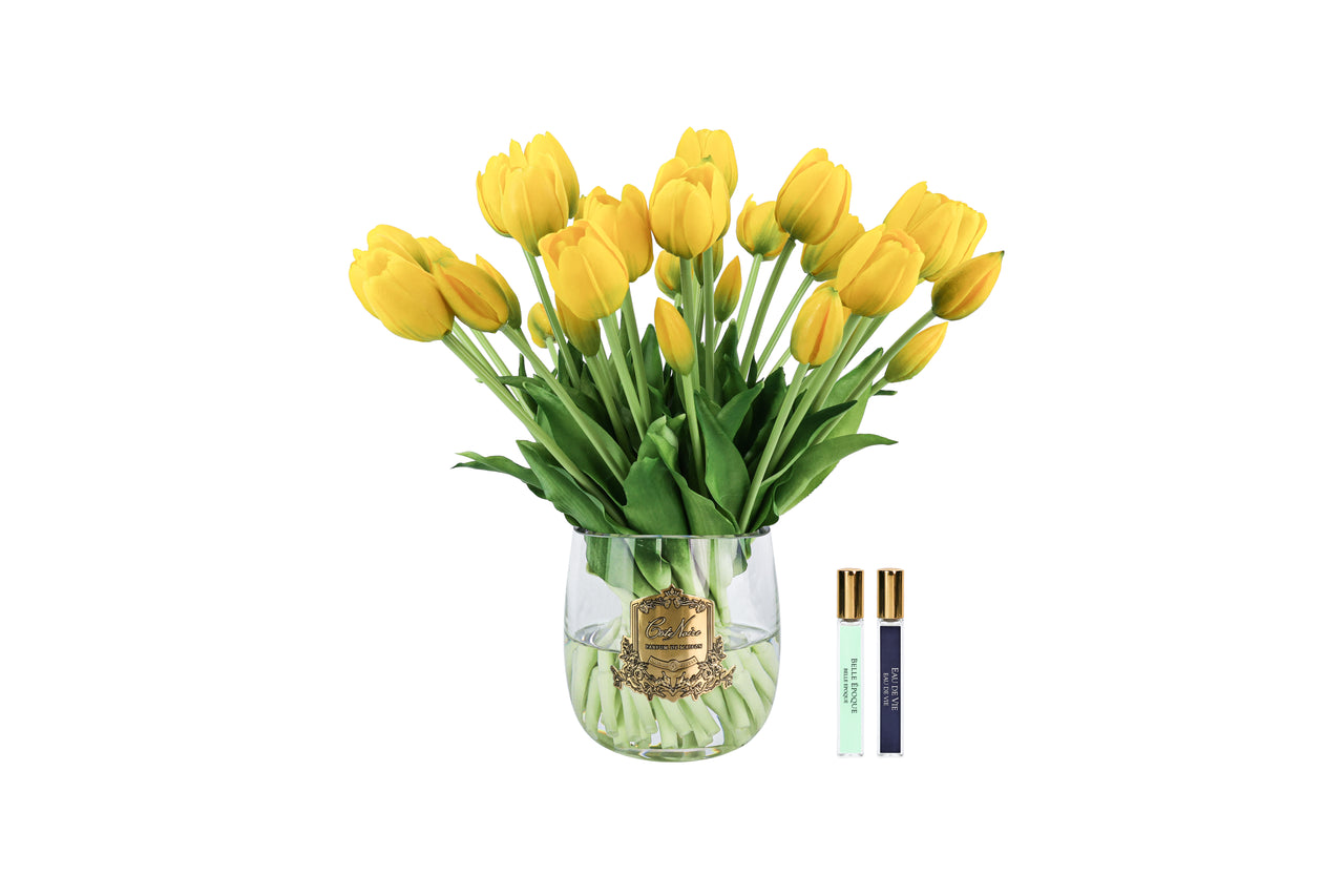 Cote Noire Heritage Tulips - Clear Vase with Gold Badge - Yellow - HT04
