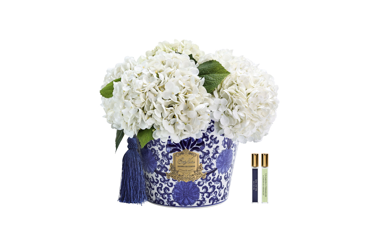 NEW - Cote Noire - Oriental Hydrangeas - Ivory - OH01