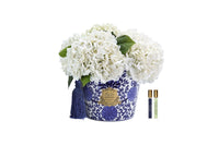 NEW - Cote Noire - Oriental Hydrangeas - Ivory - OH01