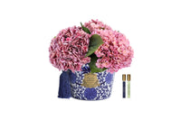 NEW - Cote Noire - Oriental Hydrangeas - Pink - OH02