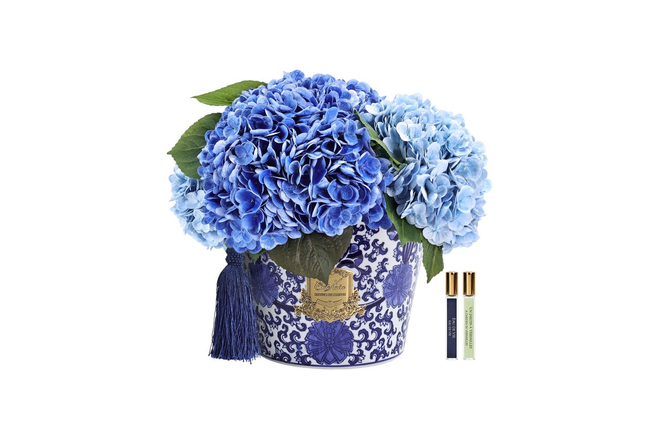 NEW - Cote Noire - Oriental Hydrangeas - Blue - OH03