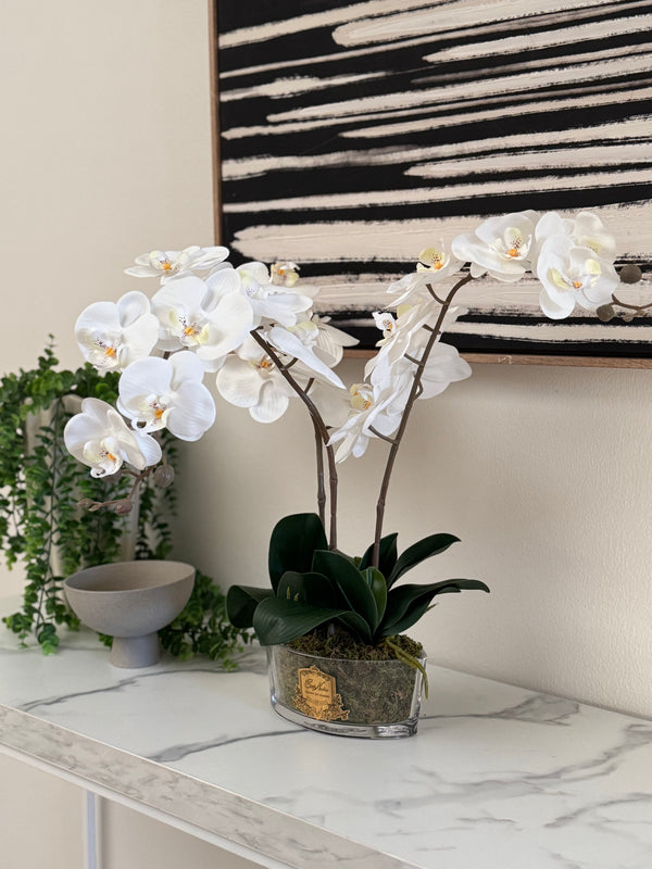 Cote Noire Orchid Bouquet - White & Gold Badge - OOV01