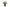 NEW - Cote Noire - Imperial Bougainvillea - Indigo Urn with White - IMPB01