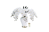 NEW - Cote Noire Imperial Orchid - White - IMPO01