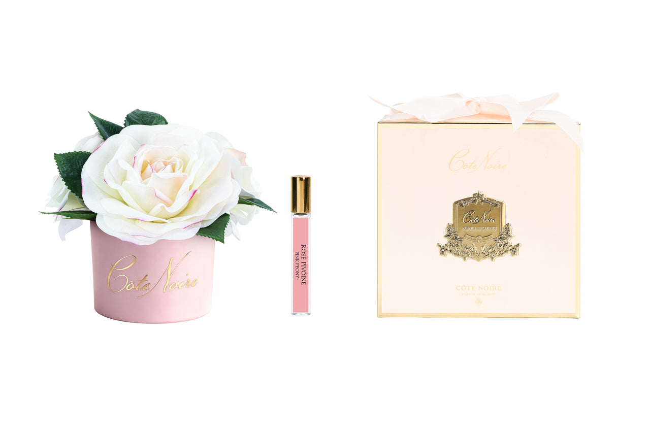 ** CLEARANCE ** Cote Noire Perfumed Natural Touch Tea Roses - Blush in Pastel Pink Vase - LS47