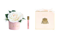 ** CLEARANCE ** Cote Noire Perfumed Natural Touch Tea Roses - Blush in Pastel Pink Vase - LS47