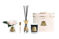 NEW - Cote Noire - Pink oval gift box - OGP02