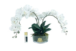 **NEW** Cote Noire Orchid Bouquet - White & Gold Badge - OOV01