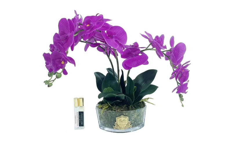 **NEW** Cote Noire Orchid Bouquet - Fuchsia & Gold Badge - OOV09