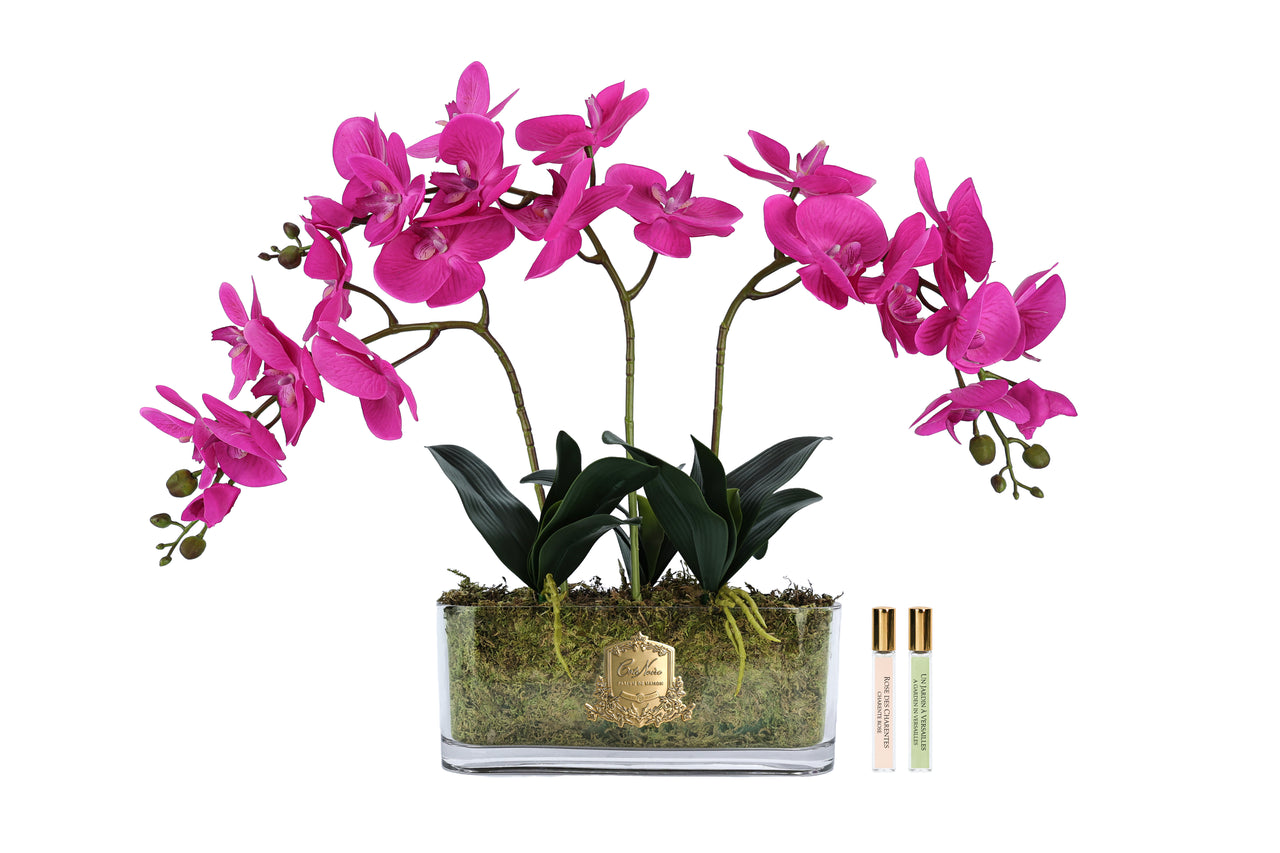 Cote Noire Orchid Bouquet - Pink & Gold Badge - OOV09